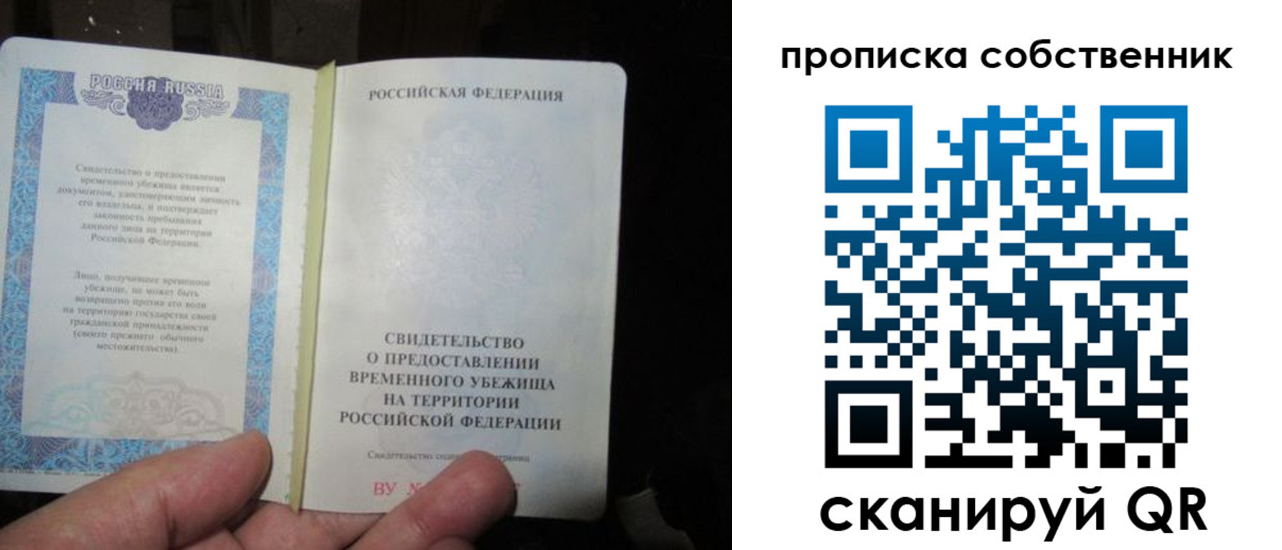 временная регистрация для всех в Зее